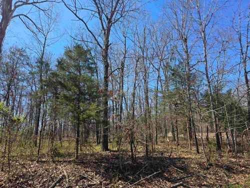 L23 B2 West Lake Addn, Ozark Acres, AR, 72482 | Card Image