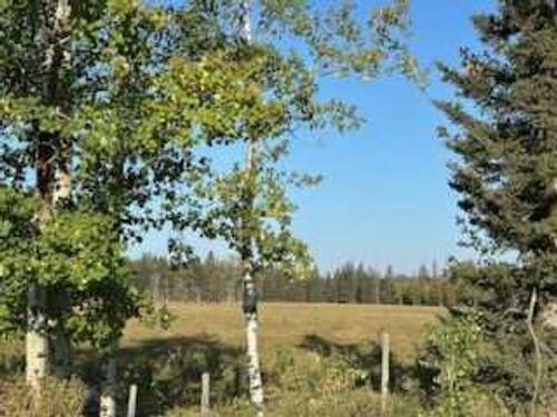 SE 3-33-5 W5, Rural Mountain View County, AB, T0M1X0 | Card Image