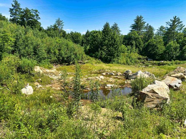 243 Currier Rd, Home with 0 bedrooms, 0 bathrooms and null parking in Andover NH | Image 20