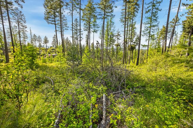 150 Trading Post Trl, Home with 0 bedrooms, 0 bathrooms and null parking in Bigfork MT | Image 28