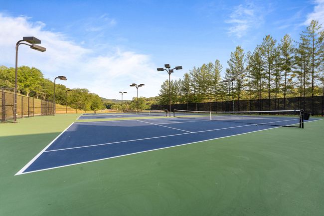Pickleball/Tennis Courts | Image 60