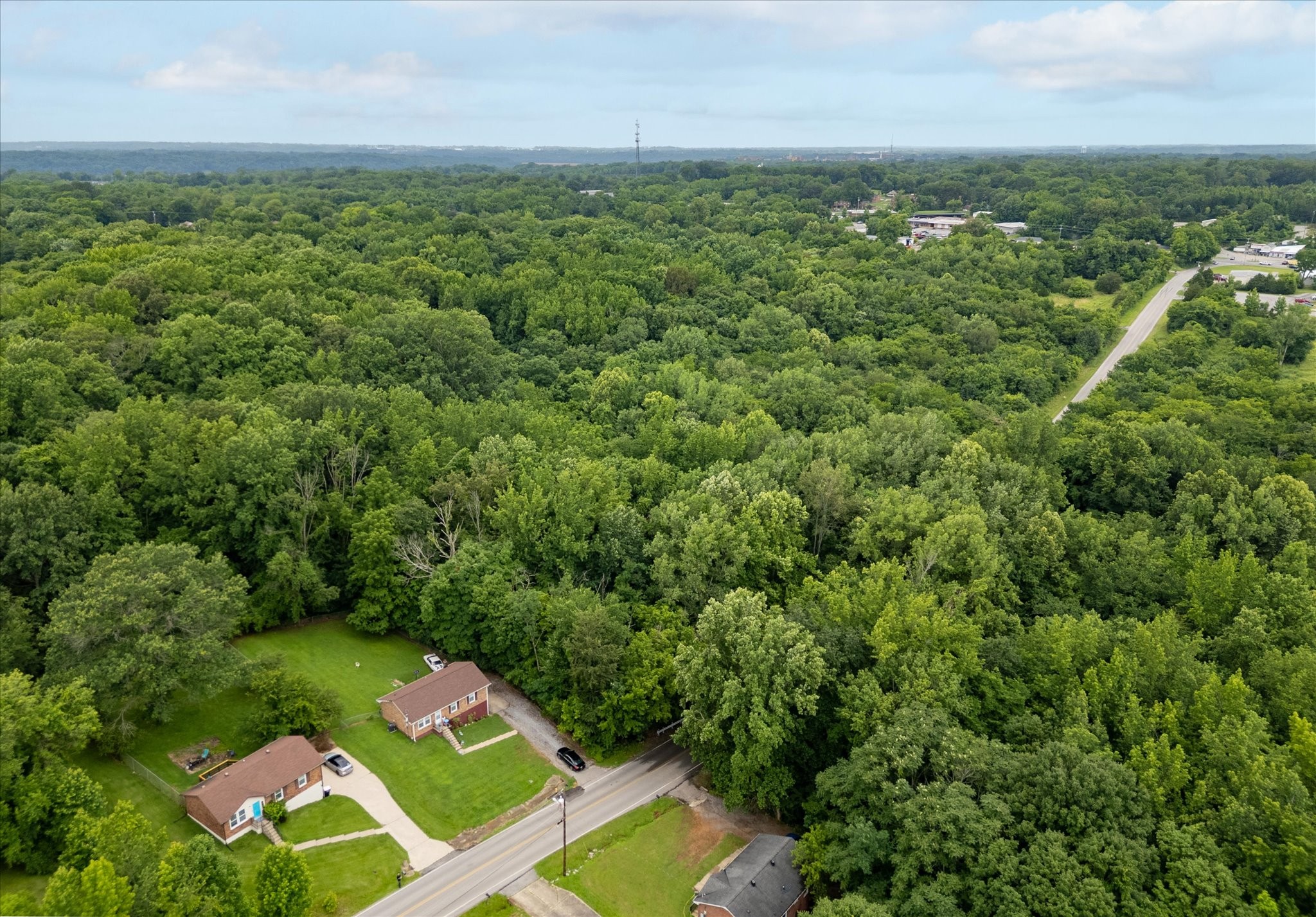 Commercial Sale in Clarksville 5