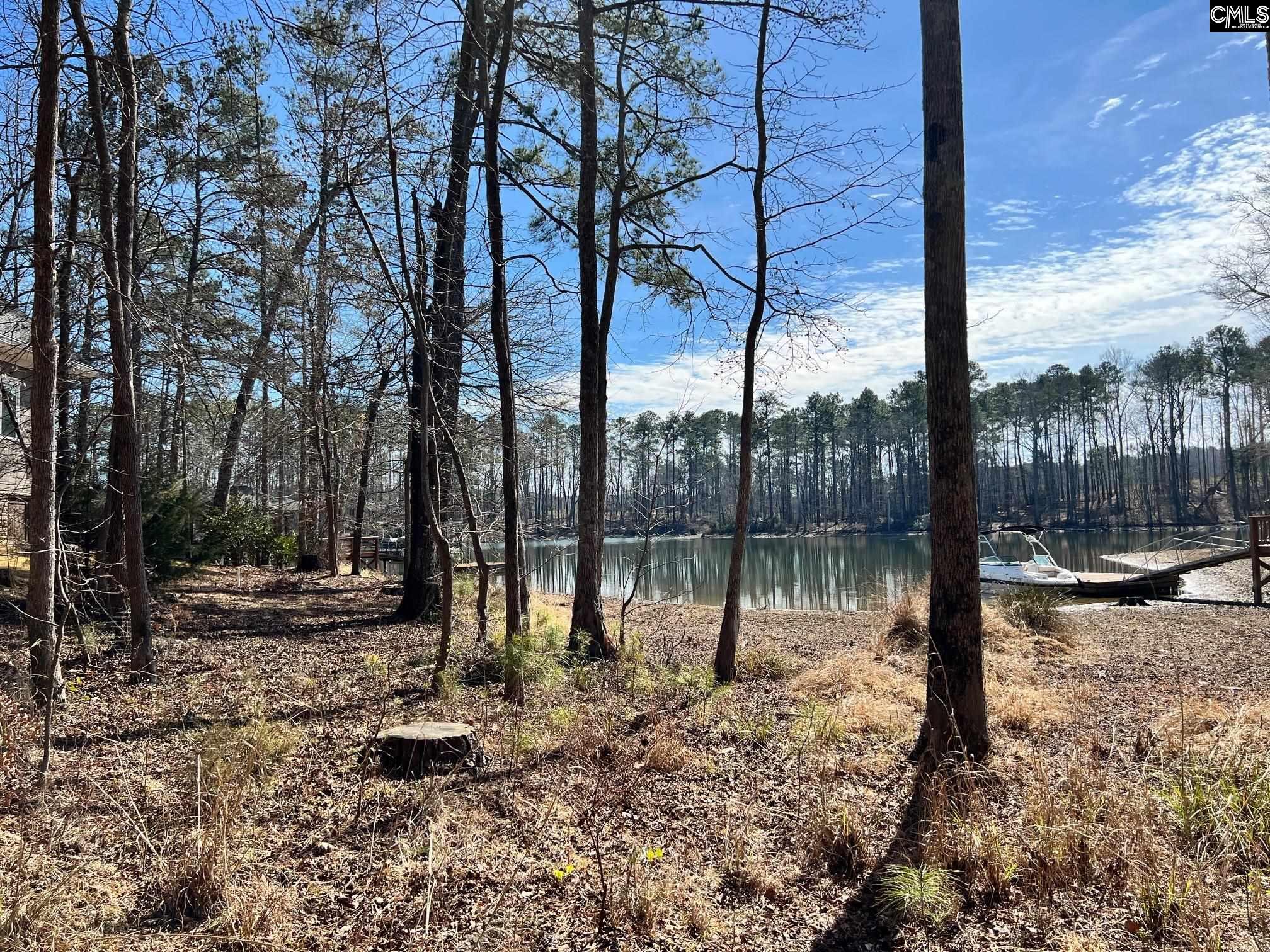 Land in Leesville 2