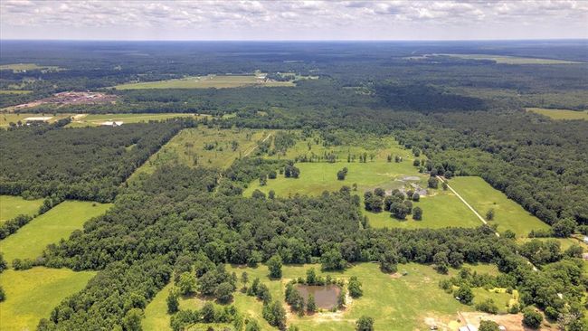 00 Lloyd Fregia Road, Home with 0 bedrooms, 0 bathrooms and null parking in Batson TX | Image 18