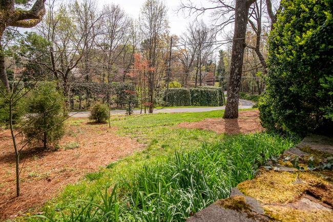 Lush Landscaping | Image 59