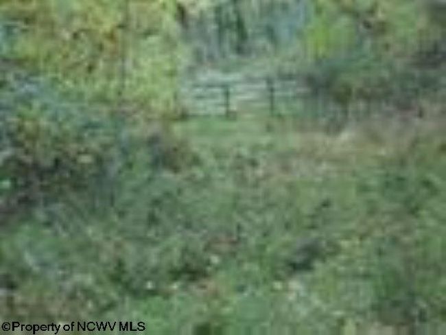 2410 Buckhannon Pike, Home with 0 bedrooms, 0 bathrooms and null parking in Mount Clare WV | Image 21
