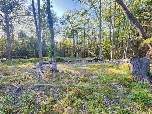 0 Ne Fitzwilliam Rd, Royalston, MA, 01368 | Card Image