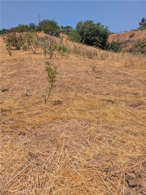 3104 Lincoln Park Ave, Lincoln Heights, CA, 90031-2116 | Card Image