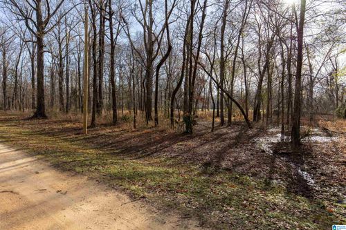 41-0 River Oaks Landing Cir, Orrville, AL, 36767 | Card Image