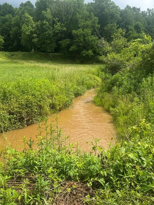 00 Tails Creek Road, Ellijay, GA, 30540 | Card Image