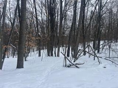 577-9980 Red Deer Ct, Canadian Lakes, MI, 49346 | Card Image