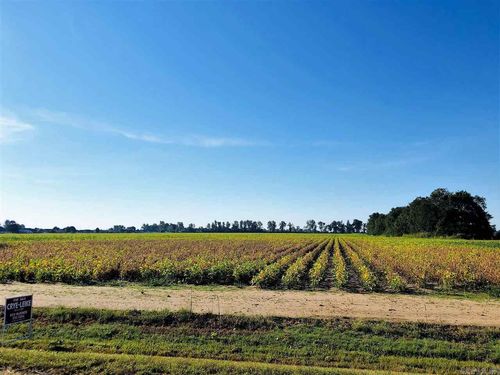 3910-acres-west-main-ext-39.10 Acres W Main, Trumann, AR, 72472 | Card Image