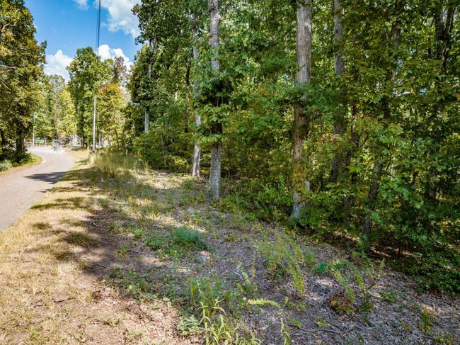 LOT 14/16 Ridgeway Dr, Home with 0 bedrooms, 0 bathrooms and null parking in Sugar Tree TN | Image 6
