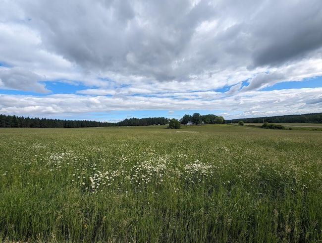 Meadow front 8 acre | Image 8