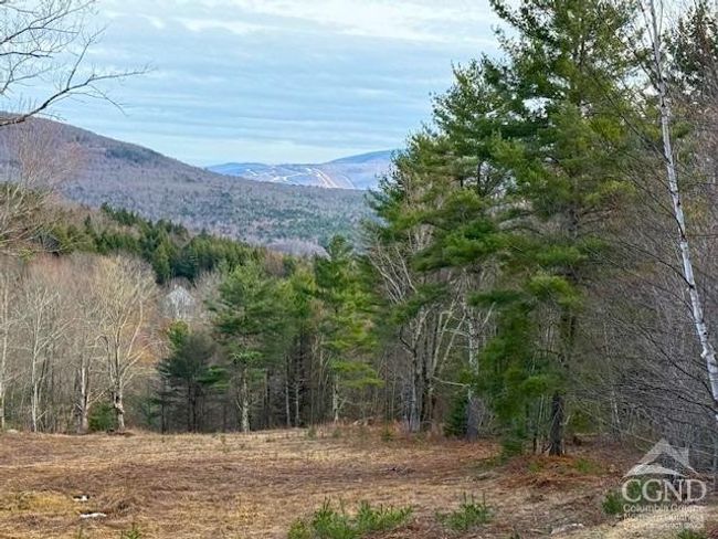 0 Campbell Rd, Home with 0 bedrooms, 0 bathrooms and null parking in Windham NY | Image 10