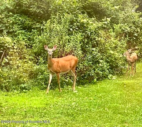 840 Maplewood 43.3 Acres Road, Lake Ariel, PA, 18436 | Card Image