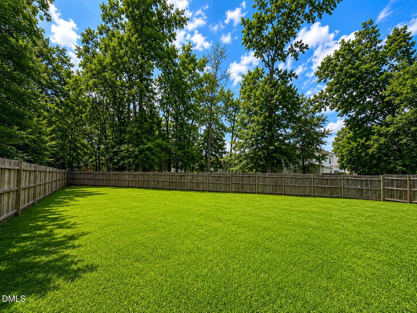 Residential in Raleigh 2