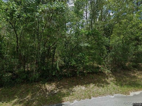 3212 E Murray St, Inverness, FL, 34453-9460 | Card Image
