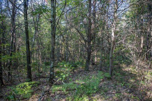 Lot 4 20th Street, Necedah, WI, 54646 | Card Image