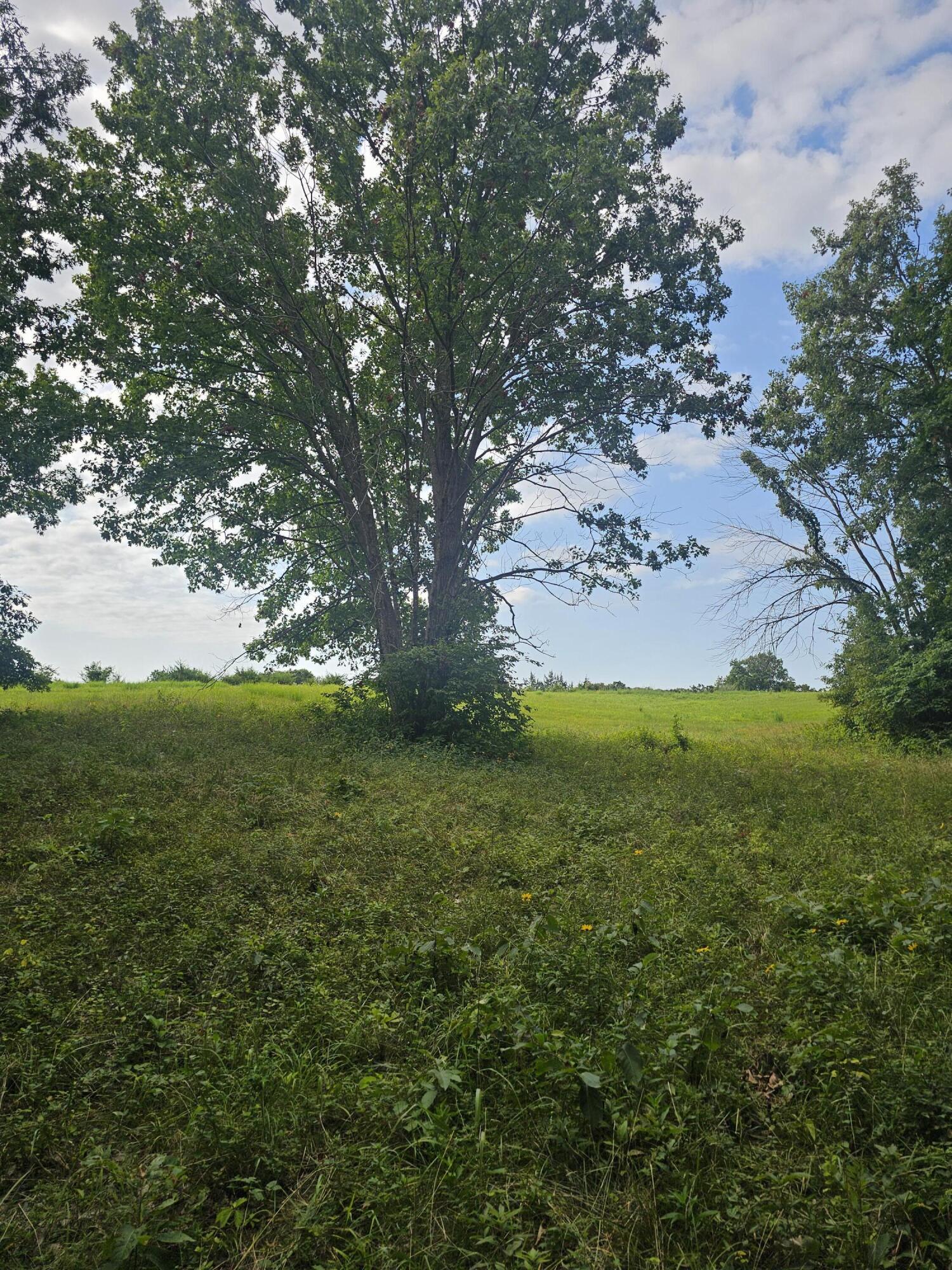 Land in FAYETTE