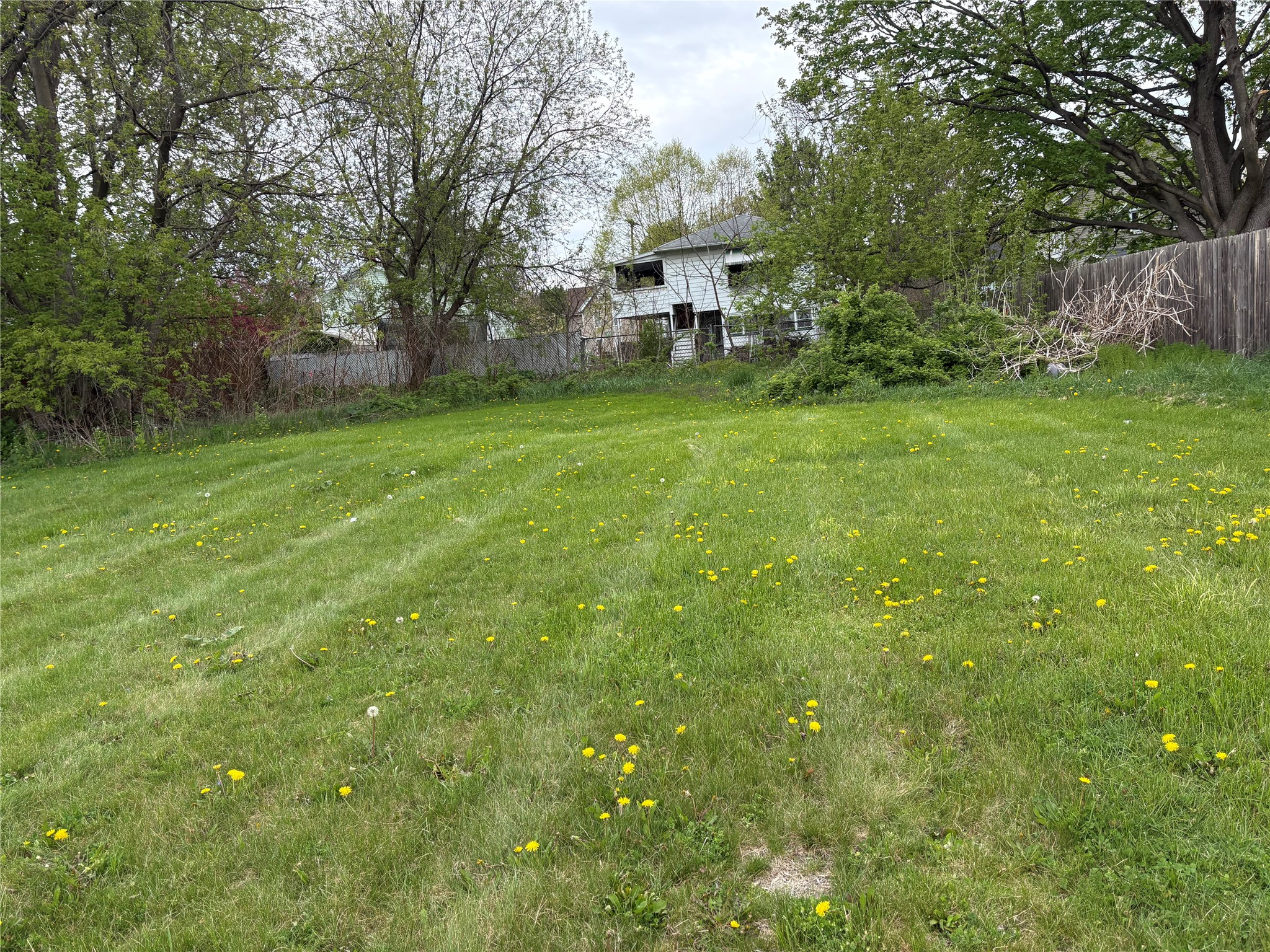 Land in Waverly 2