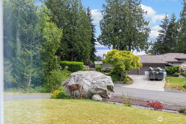 Wildlife abounds in the beautiful North Bay Community. | Image 27