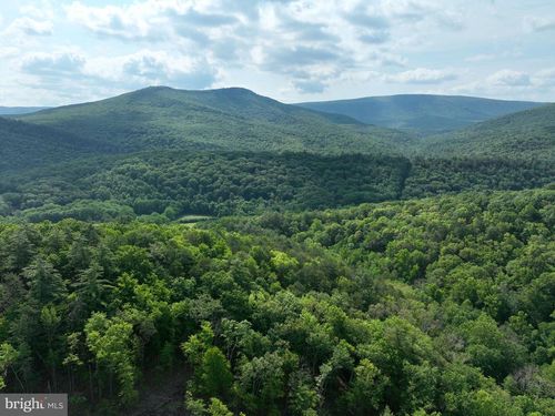 686.10 Acres Thorn Bottom Rd, WARDENSVILLE, WV, 26851 | Card Image