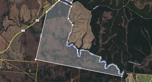16226 State Route 50, Altamont, TN, 37301 | Card Image