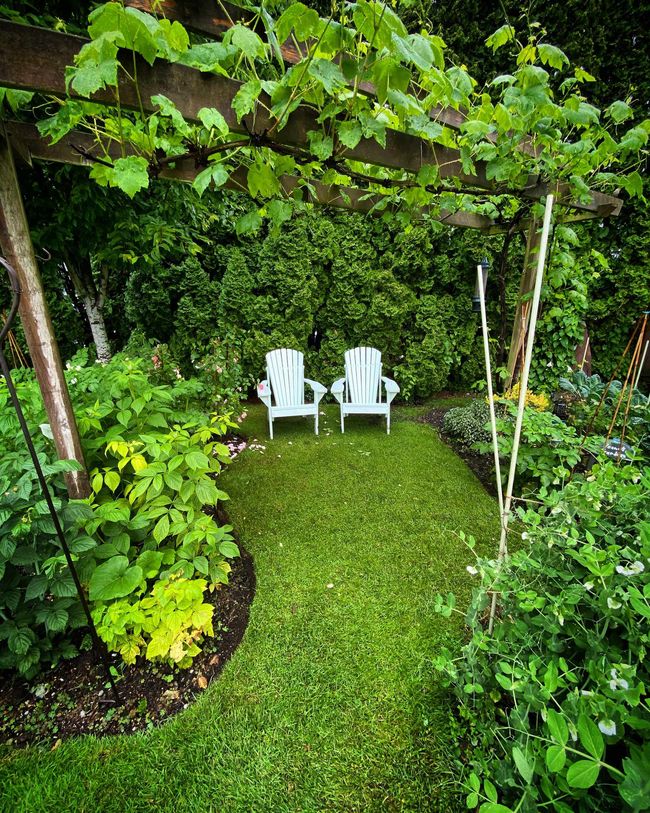 3114 Graveley St, House other with 4 bedrooms, 2 bathrooms and 1 parking in Vancouver BC | Image 35