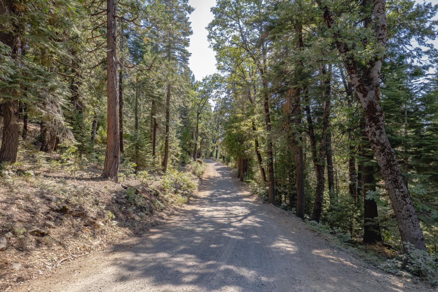 Land in Nevada City 2