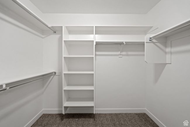 Spacious closet featuring dark carpet | Image 25