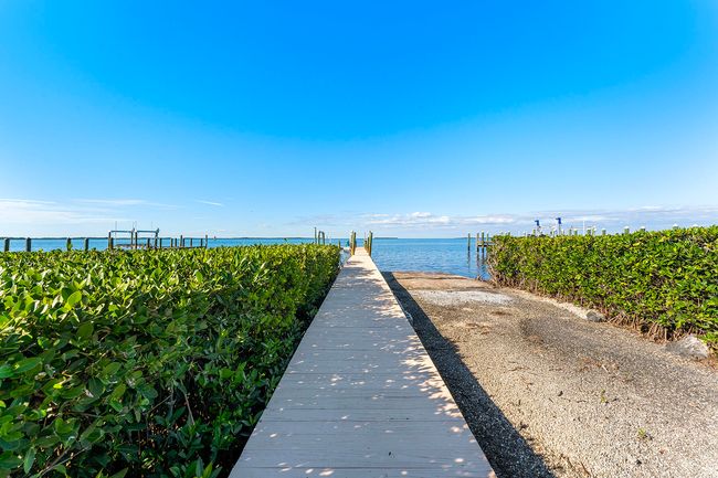 Back yard views | Image 55