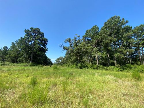8 County Road 114, Centerville, TX, 75833 | Card Image