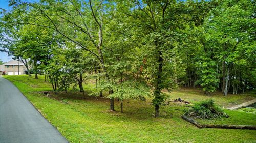 Lot 11R Charlie Stover Rd, Royal, AR, 71968 | Card Image