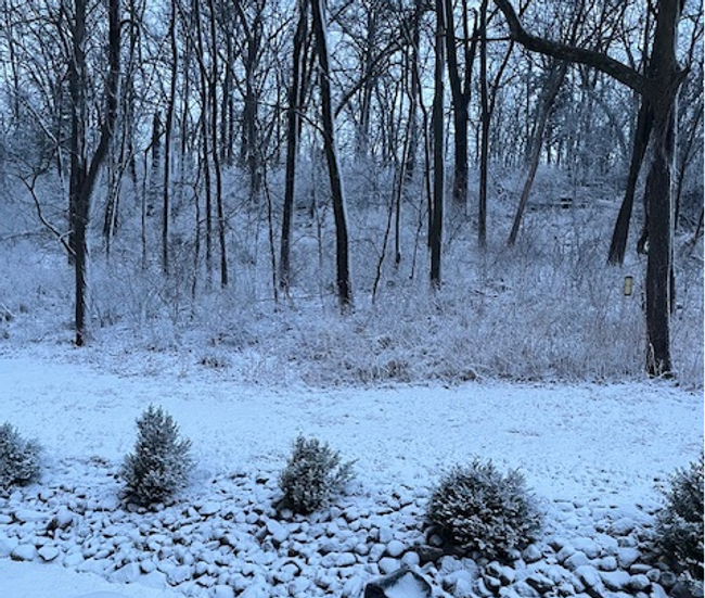 snow back yard.png | Image 39