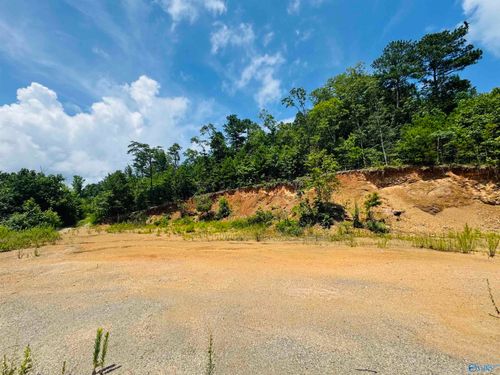 21.85 Acres Tar Kil Rd, Eva, AL, 35621 | Card Image