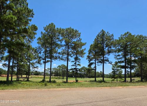 lot-10-1011 Camden Way, Hawkinsville, GA, 31036-6661 | Card Image