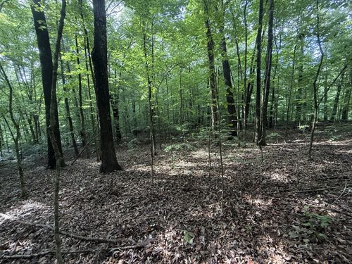 0 Cane Creek Cir, Stewart, TN, 37175 | Card Image
