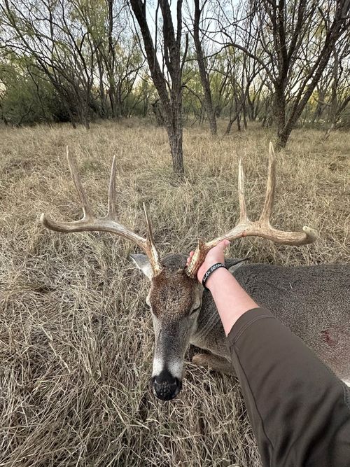 6525 E 180, Anson, TX, 75901 | Card Image