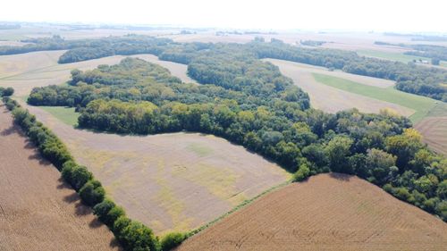 TBD Golding Rd, Thomson, IL, 61285 | Card Image