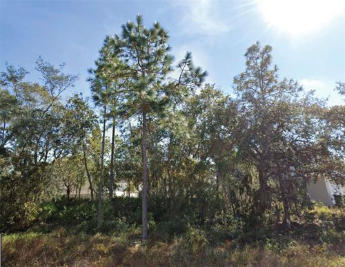 1626 Pilchard Ct, POINCIANA, FL, 34759-4732 | Card Image