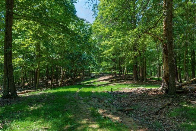 58501 Us Highway 50, Home with 0 bedrooms, 0 bathrooms and null parking in Mc Arthur OH | Image 51