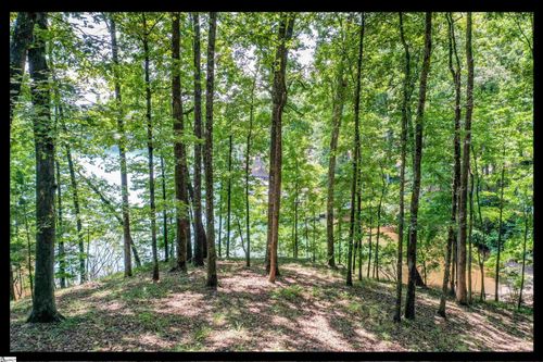 lot-62-0 Hearthstone Way, Salem, SC, 29676 | Card Image