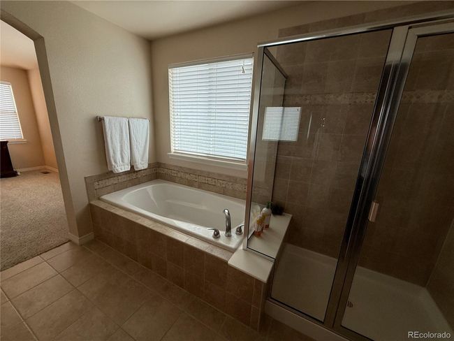 7407 Pimlico Dr, House other with 4 bedrooms, 3 bathrooms and null parking in Windsor CO | Image 22