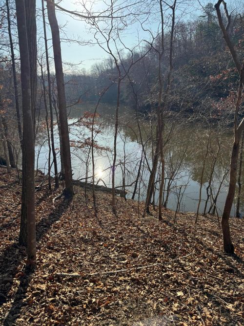 Lot 26 Poplar Dr, Hardy, VA, 24101 | Card Image