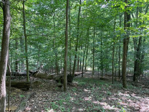 0 Bear Claw Ln, Sugar Grove, OH, 43155 | Card Image