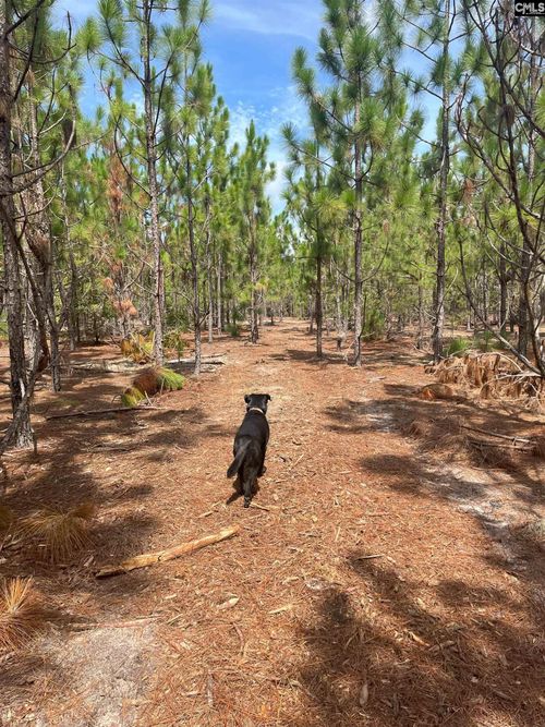 PPF 6 Payne Pond Road, Westville, SC, 29175 | Card Image