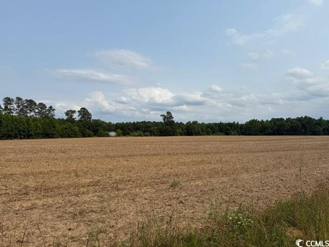 8 Mack Rd, Home with 0 bedrooms, 0 bathrooms and null parking in Conway SC | Image 5