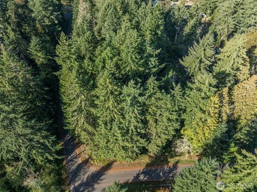 10102 104th Ave, Anderson Island, WA, 98303 | Card Image