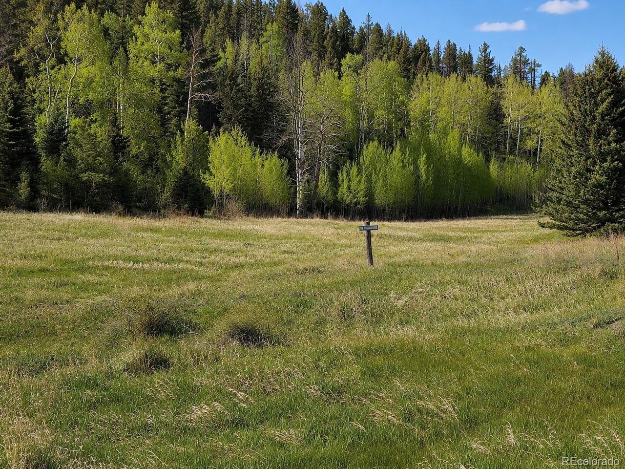 Land in Westcliffe 4